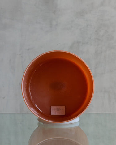 7" E+15 Sedona Red Rock 131811 - The Sound Healing Studio