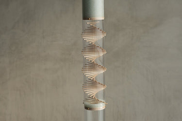 Spiral Rainstick Midway - The Sound Healing Studio